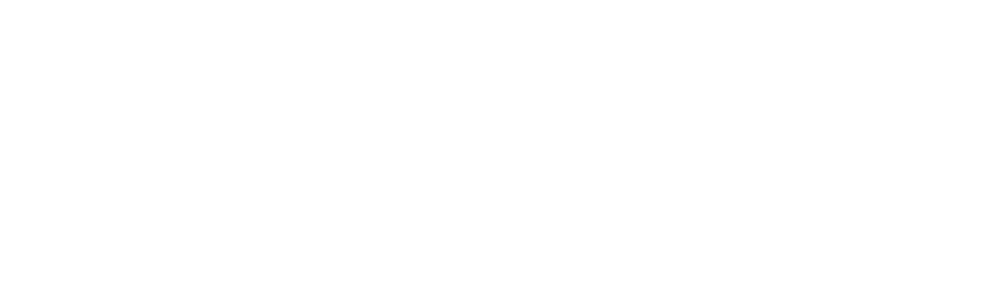 Euclid visual data 2